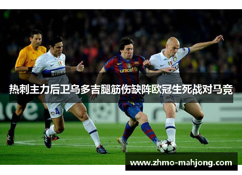 热刺主力后卫乌多吉腿筋伤缺阵欧冠生死战对马竞 热刺主力后卫乌多吉腿筋伤缺阵欧冠生死战对马竞